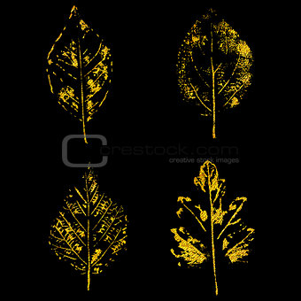 golden leaves on black background