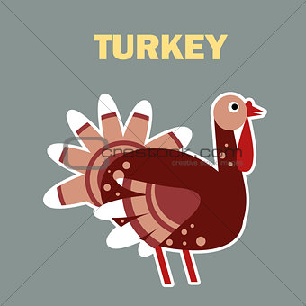 Domestic bird turkey simple