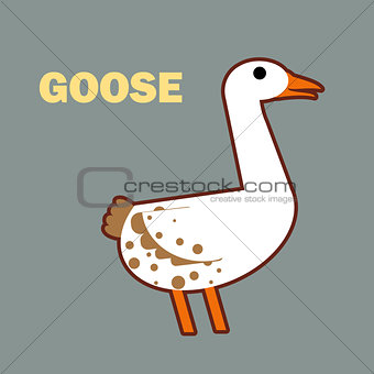Domestic bird goose simple