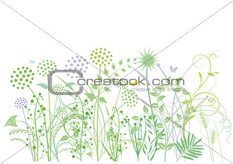 Grasses, herbs, plants, illustration
