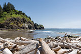 Driftwood at Waikiki Beach in Cape Disappointment State Park