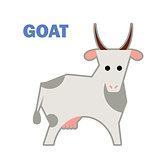 Farm animal goat isolated