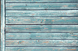 Ancient wood with cracked paint of blue color