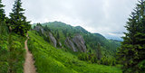 Panoramic view of Mount Ciucas on summer