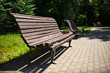 A wooden bench in the park in summer