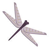 dragonfly for Japanese pattern