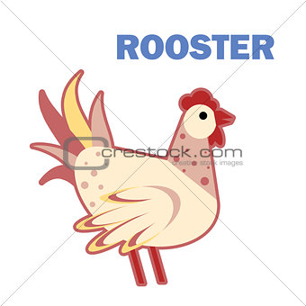 Domestic bird rooster isolated