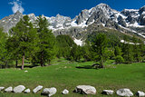 Landscape of Italian Alps in spring