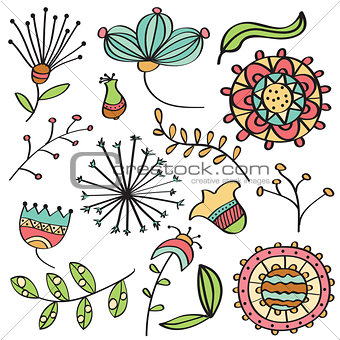 Doodle color flowers and leafs collection 
