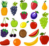 Set of fruit 