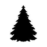 Silhouette spruce tree coniferous flora icon