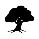 Silhouette oak icon tree flora