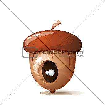 Hole eye in acorn, nuts illustration