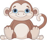 Baby monkey 