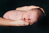 newborn baby lying on the hands of parents on a black background. Imitation of a baby in the womb.
