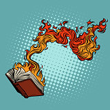 the book burns. destruction of knowledge and culture