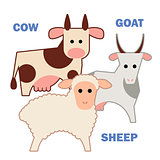Farm animals cow, sheep and goat isolated