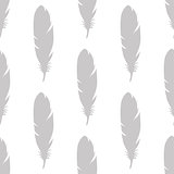 Feather seamless pattern in gray colors