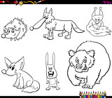 wild animal characters set coloring book