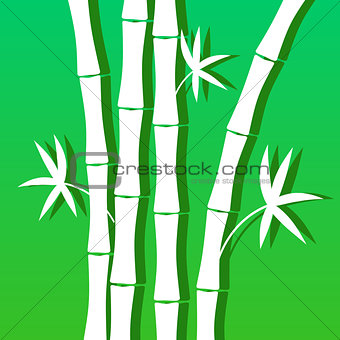 Blue green background with bamboo for banner decoration leaflets