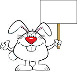 Cartoon Rabbit Holding a Sign and Giving Thumbs Up