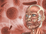 3D medical background female face with muscle map on virus cells