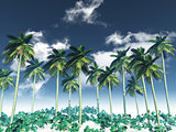 3D palm tree landscape