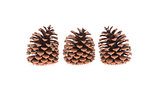 Three pine cones isolated