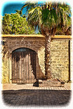 Wall with Gate and Palm Tree 