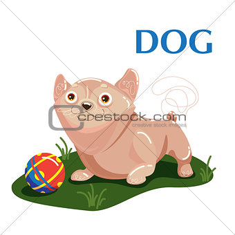 Educational flashcard dog plays with ball on the grass