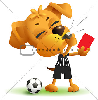 Football referee Dog shows red card. Soccer arbiter whistles