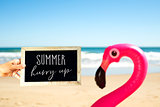 text summer hurry up and flamingo swim ring