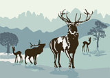 Deers in the mountains