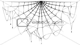 Torn semicircular spider web over white background