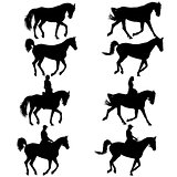 Set black silhouette of horse and jockey