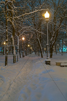 Boulevard, covered with fresh snow.
