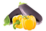 Fresh eggplant and sweet peppers bell over white background 