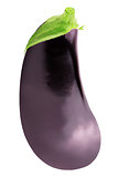 One fresh eggplant over white background with clipping path