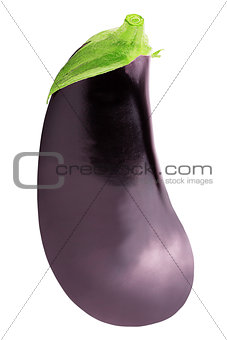 One fresh eggplant over white background with clipping path