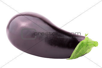 One whole eggplant over white background 