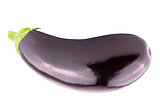 One whole fresh eggplant over white