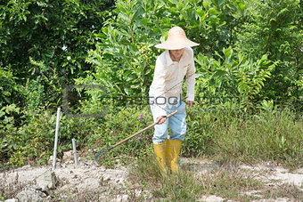 Old Asian farmer cleaning land.