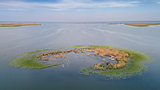 Ceaplace island. Danube Delta, Romania