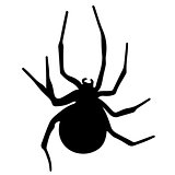 Vector silhouette of a black spider