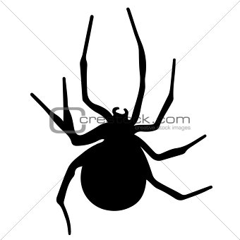 Vector silhouette of a black spider