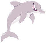 cartoon dolphin animal character