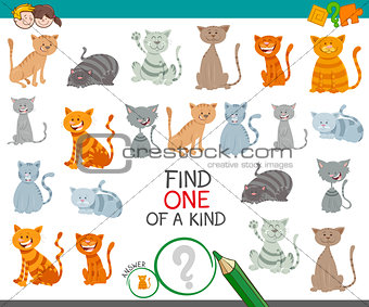 find one cat of a kind game for children