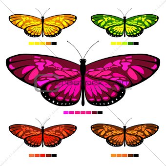 vector butterfly set 3