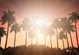 Palm tree landscape against a sunset sky