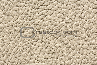 Light beige leather texture with relief surface.
